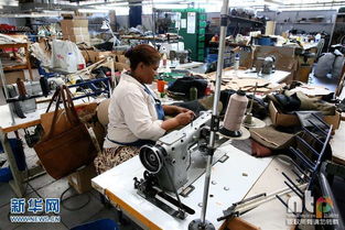 實(shí)拍非洲皮革工廠 上流社會(huì)日用品的加工地